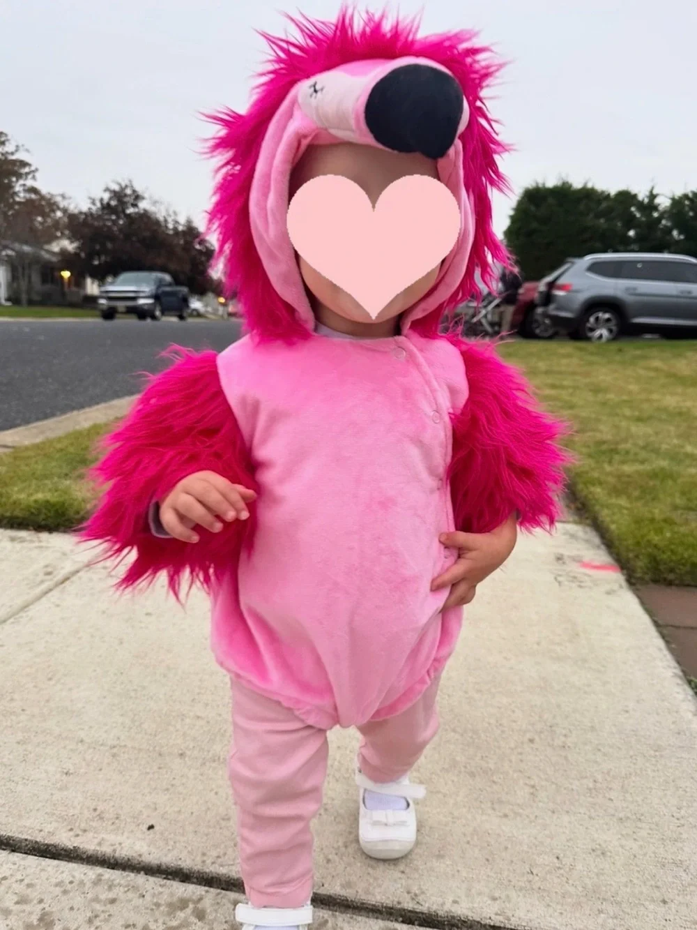 Pottery Barn Kids Hot Pink Flamingo Hooded Costume Romper